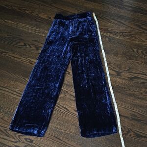 Zara Velvet Pants in Royal Blue